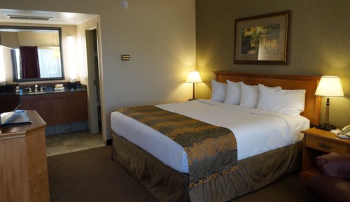 Standard Room, 1 King Bed, Non Smoking
