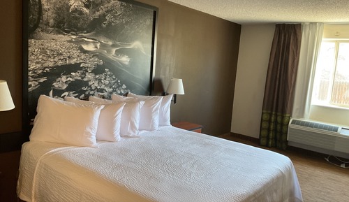 Standard Room, 1 King Bed, Accessible