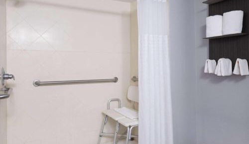 Double Room with Roll-In Shower - Mobility/Hearing Accessible - Non-Smoking